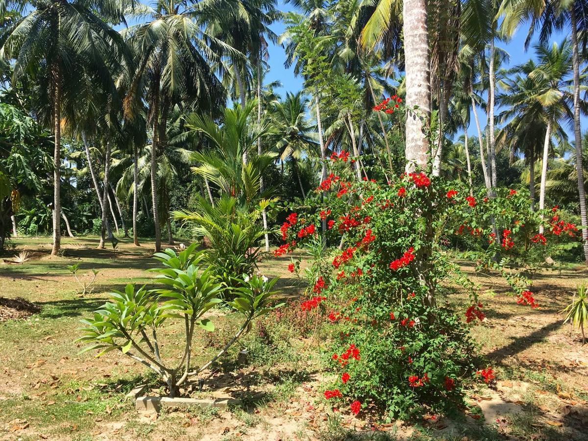 Anuhas Airport Villas Katunayaka Luaran gambar