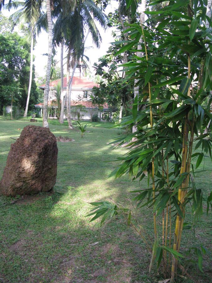 Anuhas Airport Villas Katunayaka Luaran gambar