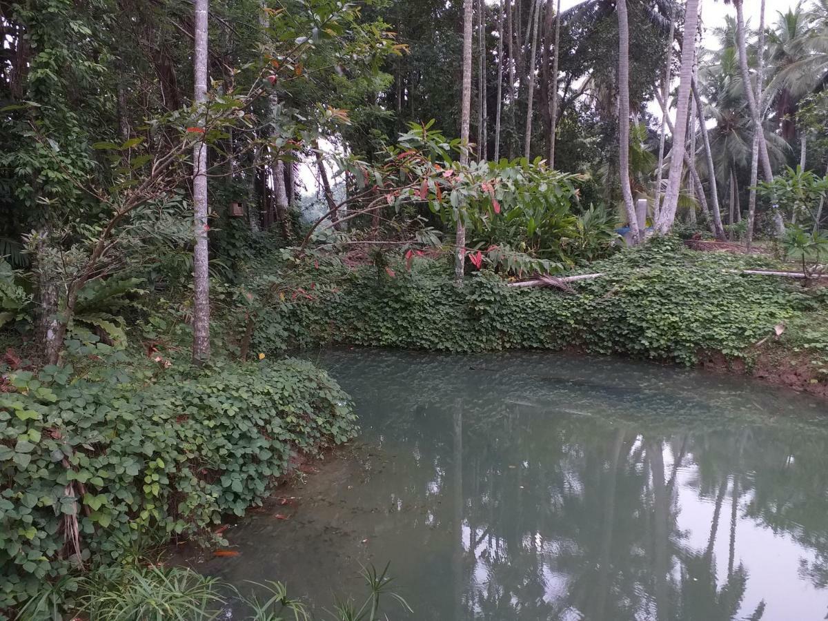 Anuhas Airport Villas Katunayaka Luaran gambar