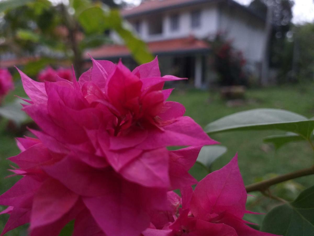Anuhas Airport Villas Katunayaka Luaran gambar